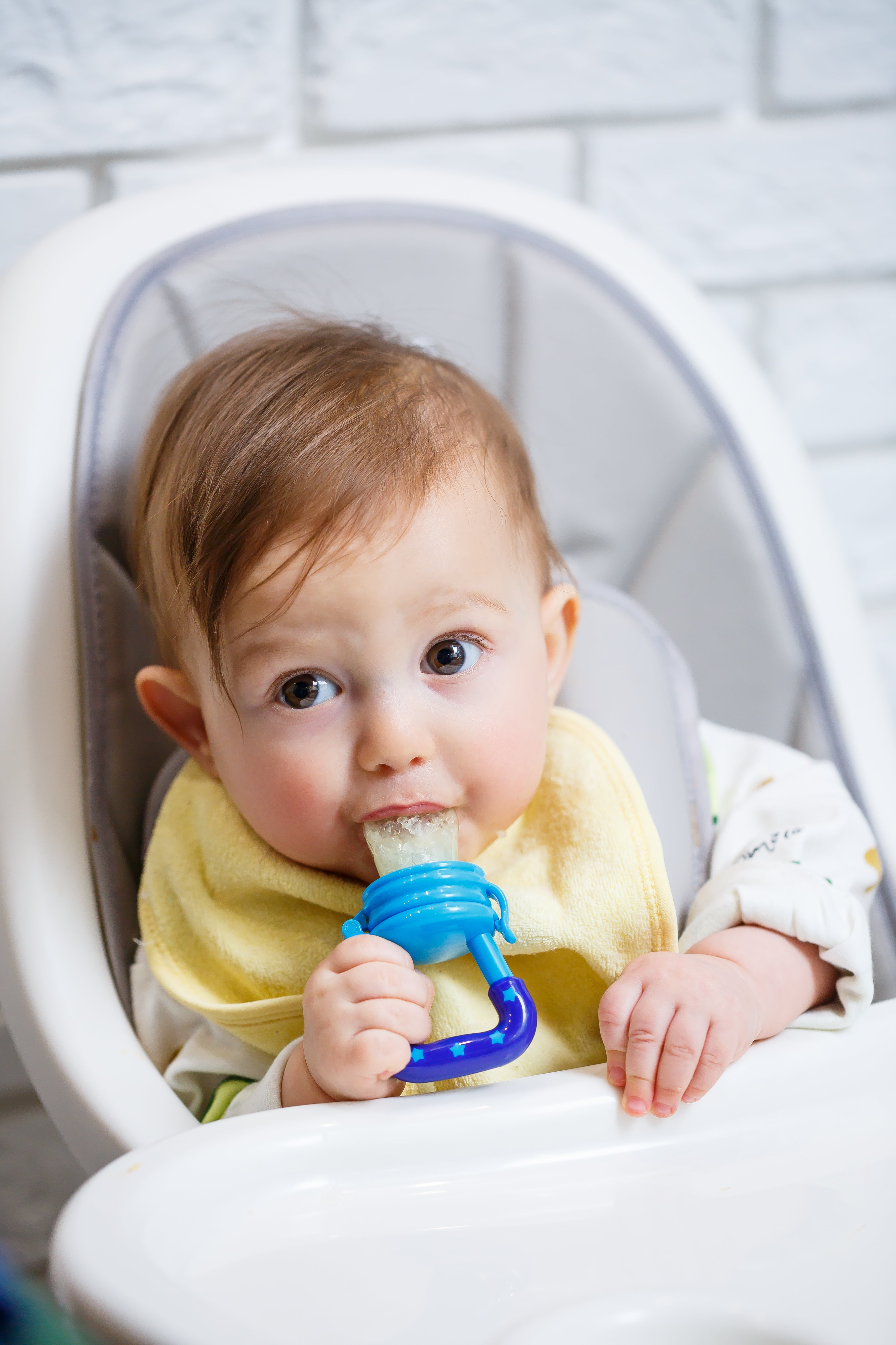 La Grignoteuse FeedyBaby